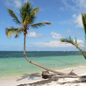 Imagen playa de Punta Cana